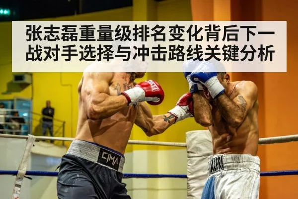 张志磊重量级排名变化背后下一战对手选择与冲击路线关键分析（kaiyun）